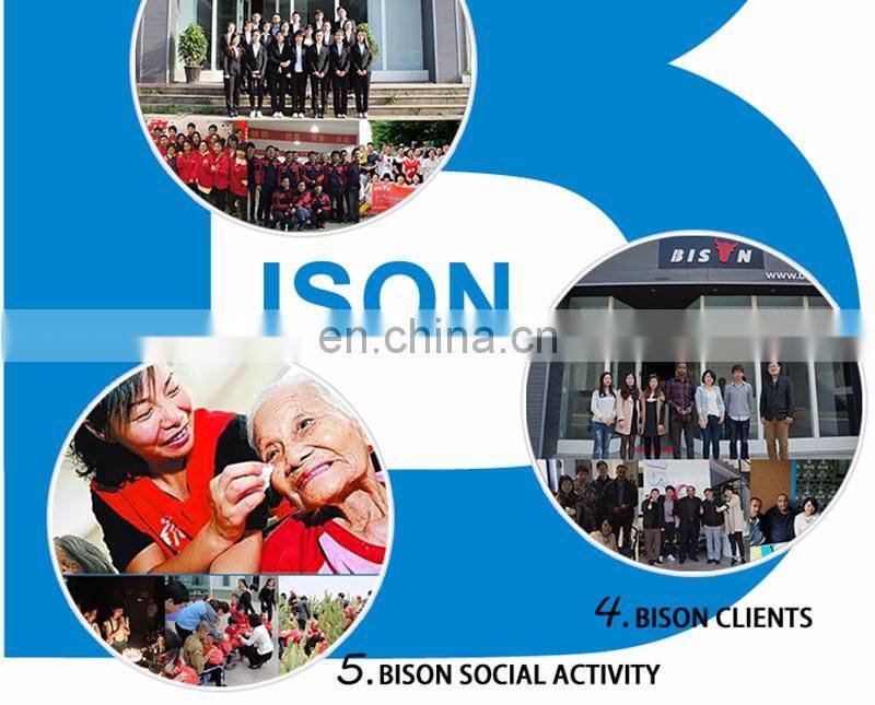 BISON (CHINA) BSDWP20 Centrifugal 2 Inch Diesel Engine Water Pump For Agriculture