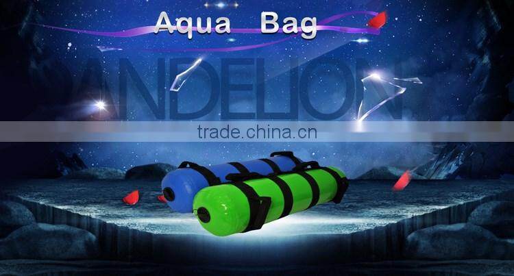 Power Bag Fitness Strength Training Cast Iron Bag