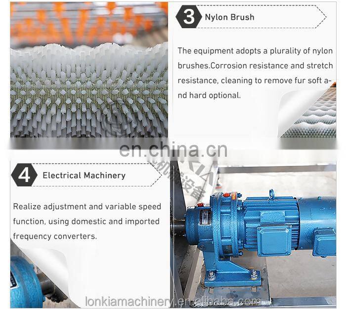 Factory Price Automatic Fruit Vegetable Apple Potato Tomato Orange Avocado Onion Washing Machine