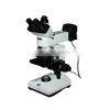 BIOBASE China LCD Light Optical Digital Microscope for Laboratory with Electronic Camera