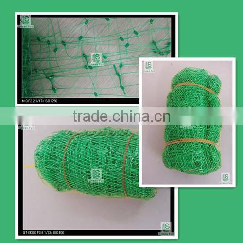 Garden and Plant Plastic Trellis and Fencing Mesh Support net(Green) - ideal for climbers, runner beans and sweet peas