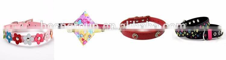 Best dog training dog collar