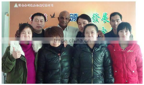 Hydraulic mobile single mast aluminum alloy lift platform powered by DC/AC