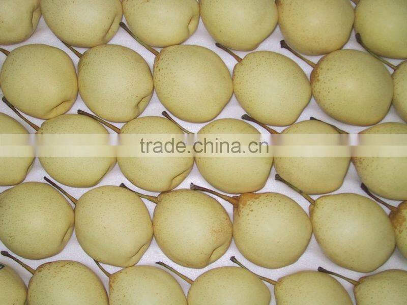 China fresh Ya pear for export best quality
