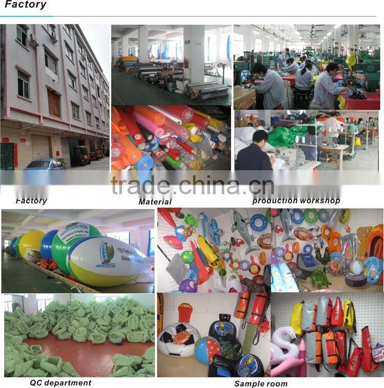 8mL Giant Dolphin Inflatable slide