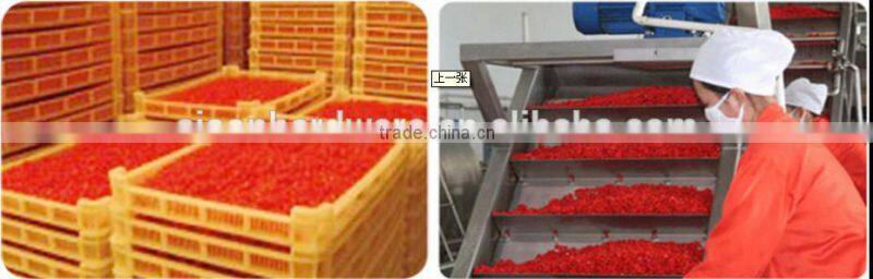 Super Goji for Health and Beauty with organic