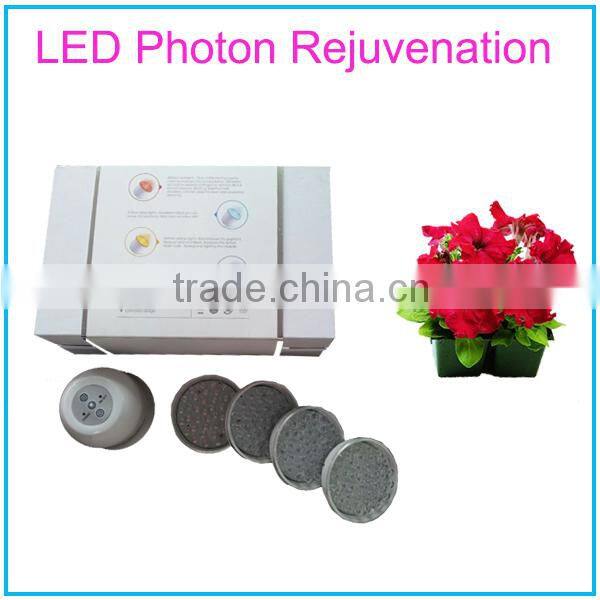 4 Colors LED Light Photon Therapy Beauty Massager Beauty Machine with Vibration Massage