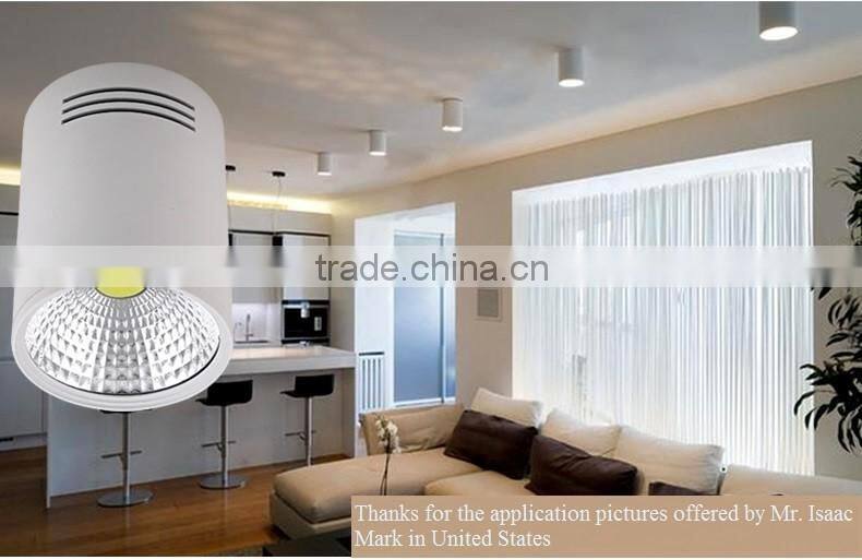 Pure white LED Downlights and LED COB Surface Mounted LED downlight