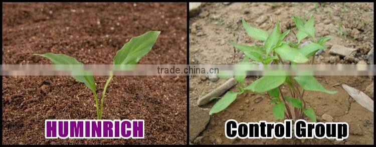 Huminrich Promote Root Development And Stimulates Seed Germination Fully Soluble Leonardite Humic Acid Organic
