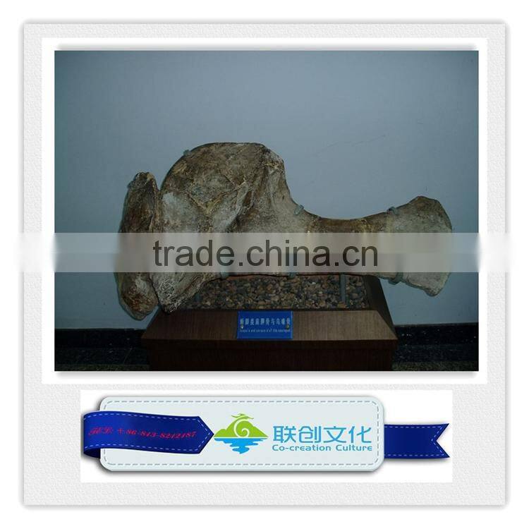 High quality museum life size dinosaur replica