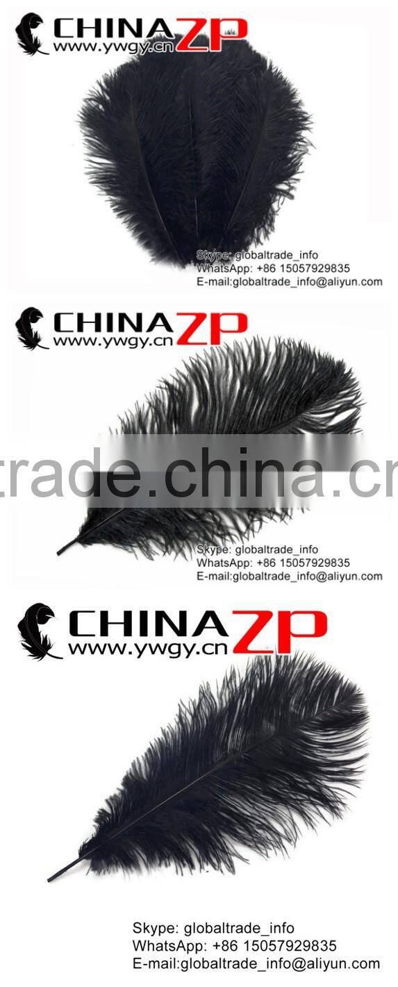 CHINAZP No.1 Supplier in China Factory Exporting Wholesale from 20-25cm Colored Balck Ostrich Feathers