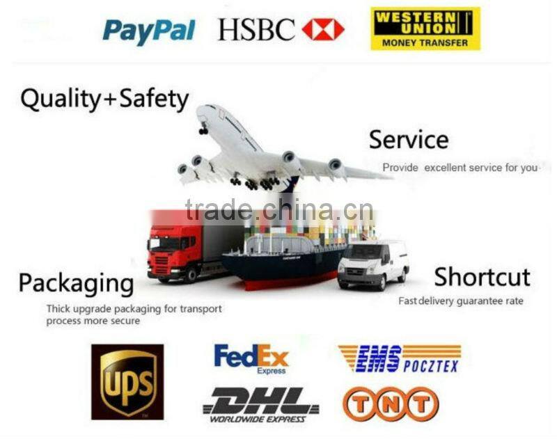 Hot Selling Dog Fencing Device Safe Electric Wireless Pet Fence