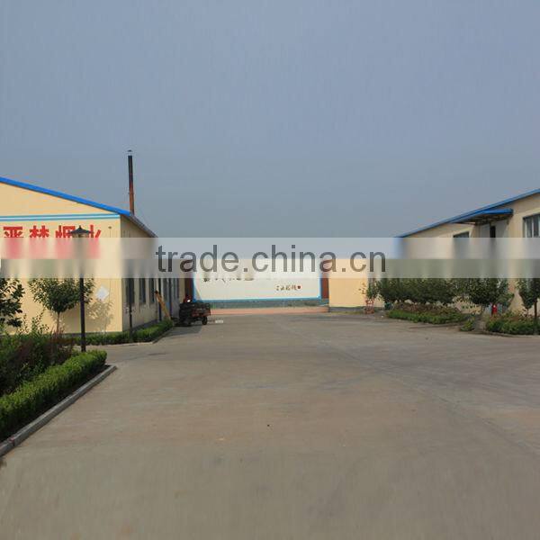 Decorative Fruits Artificial Christmas pumpkin