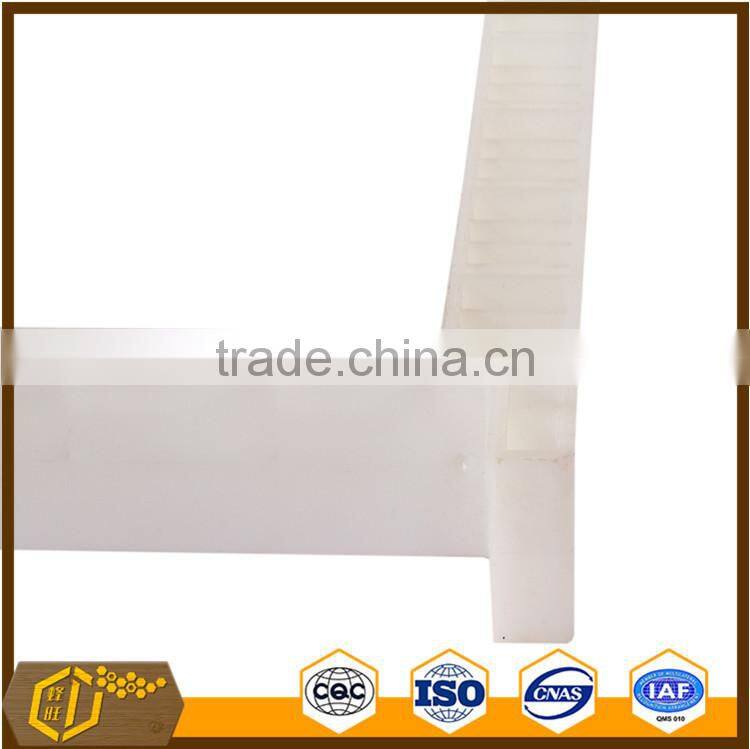 plastic bee frame