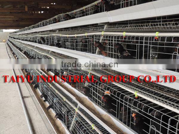 TAIYU Best Sale Chicken Egg Layer Cages System