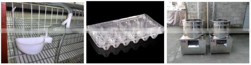 6 Tiers Layer Quail Cages For Sale