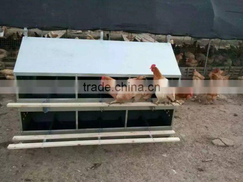 Chicken Nest Boxes for Sale