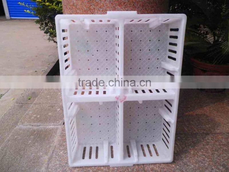 plastic chicken tranport stackable cage/box/crate for child chicken