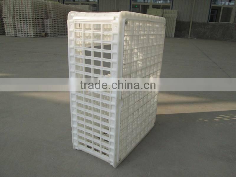 chicken transport trays