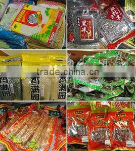 DZM-260 single chamber vacuum package machine