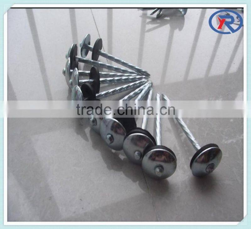 trade assurance umbrella roofing nails with twist shank 2'' 2.5'' 3'' from china