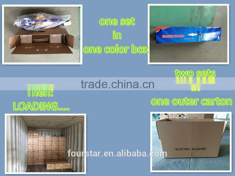 Personal Transporter Electric Scooter SX-E1013-W