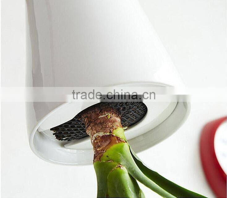 Plastic Sky Planter Creative Decorative Home Mini Sky Garden Flower Pot Beauty Sky Planter