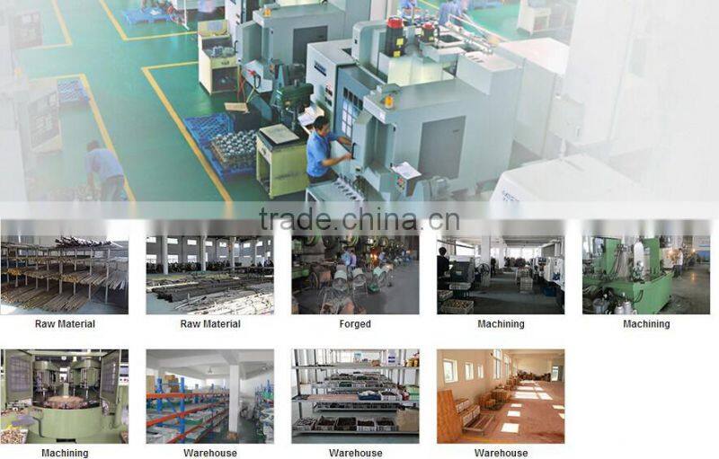 high quality Brass Customized plug adapter