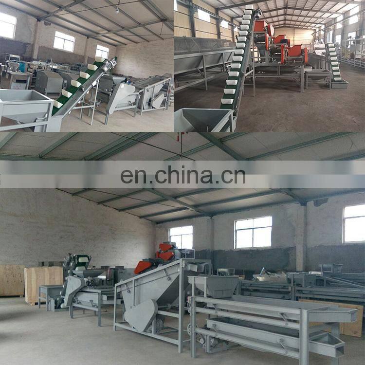 Taizy Cashew nuts Shelling Machine/ Cashew nuts sheller/ Cashew nuts sheller machine