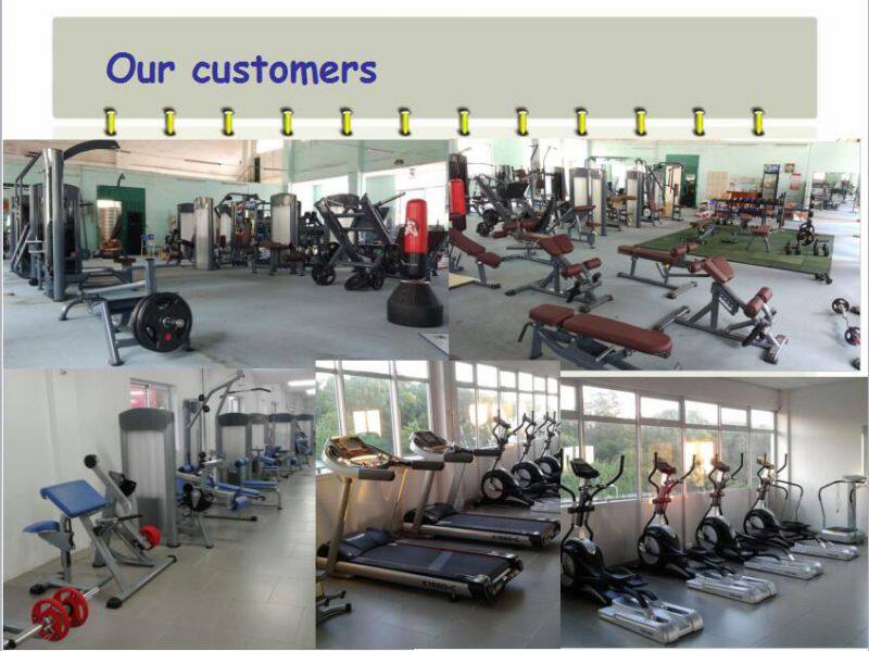 Luxurious Commercial Fitness Equipment Adjustable Ab Benches For Sale