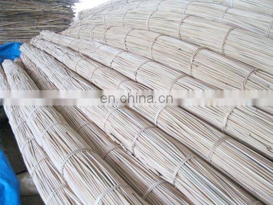 RATTAN RAW MATERIAL