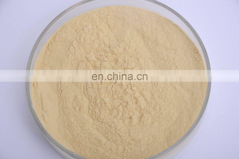 Low Price XF/GFG/FG High Efficiency Horizontal Fluid Bed Dryer Boiling Dryer for Beverage granules