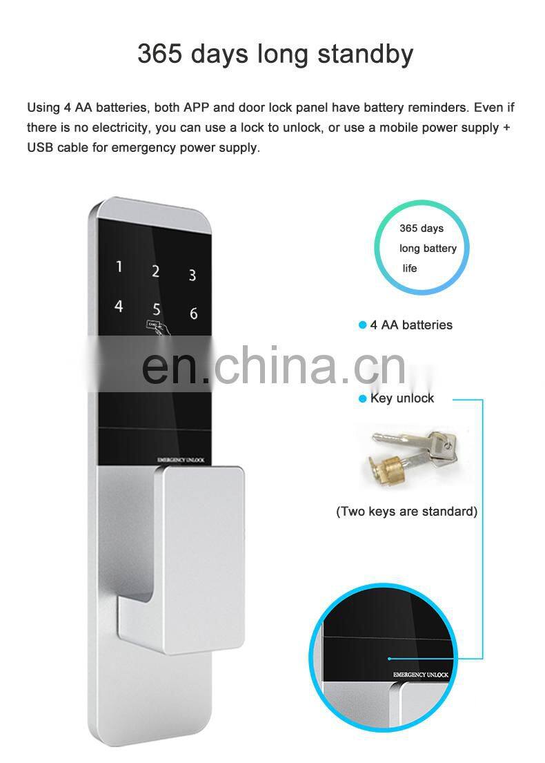Suitable For Home/hotel/apartment Electronic Security Tt Lock Smart Digital Password Door Lock