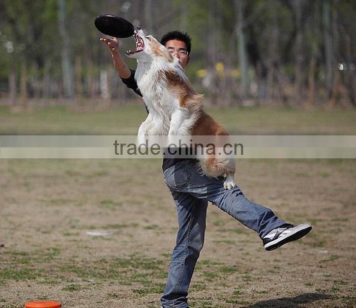 2015 Wholesale professional silicone frisbee, dog toy