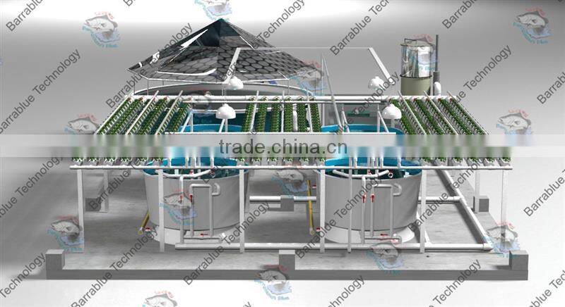 RAS/hydroponics growing system/Fish farm and hydroponic greenhouse system