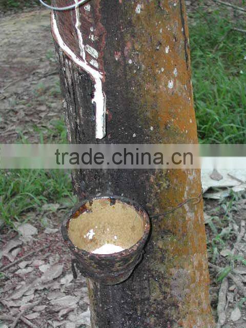 liquid latex adhesive - TRH-70 -