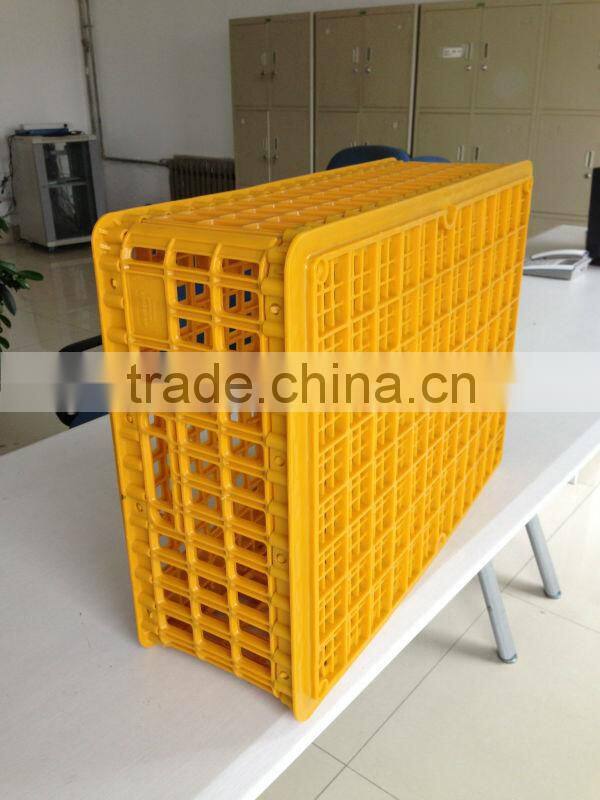 chicken turnover box for day box