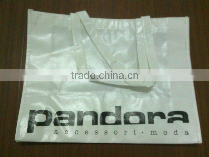 pp non-woven shopping carry bag