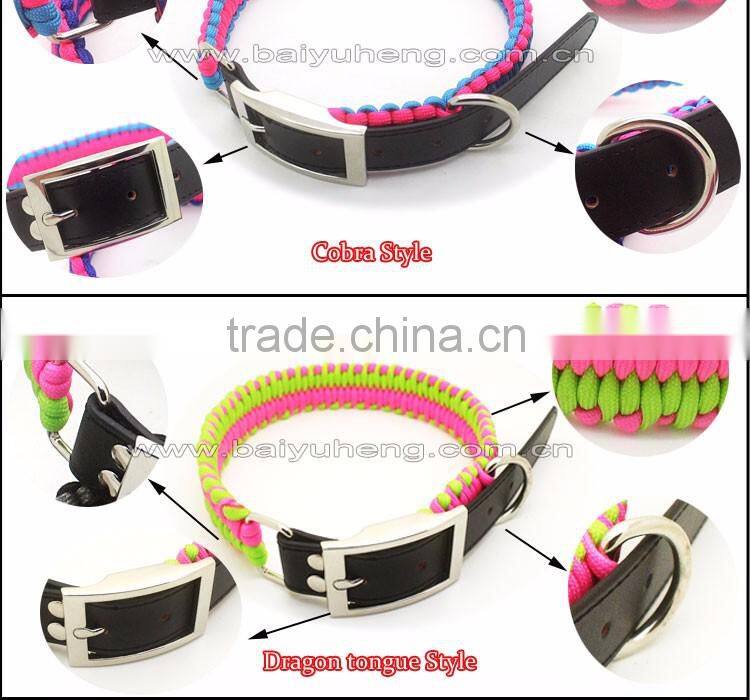 wholesale pet dog training collar leash