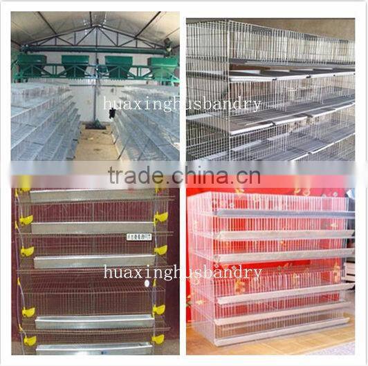 quail cage for sale & layer quail cage for poultry farm equipment