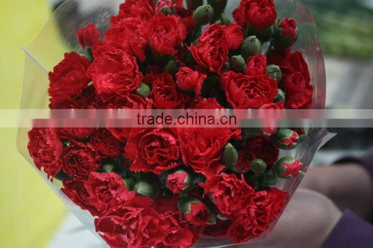 Various crazy selling products for 2015 carnation flower