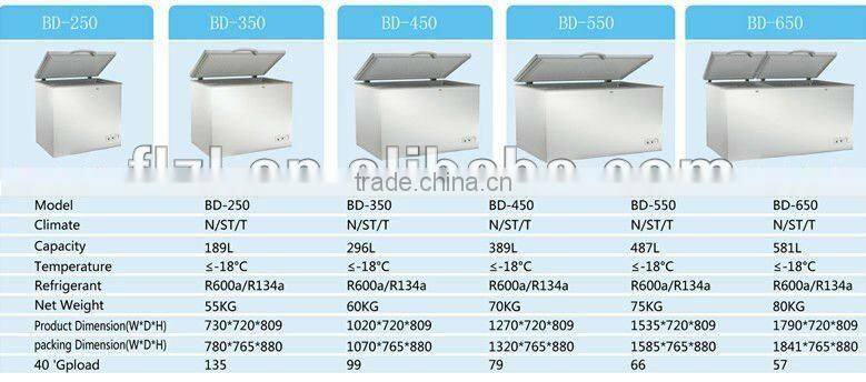 Chest Freezer BDS-550 S/S 304, S/S 201 door freezer