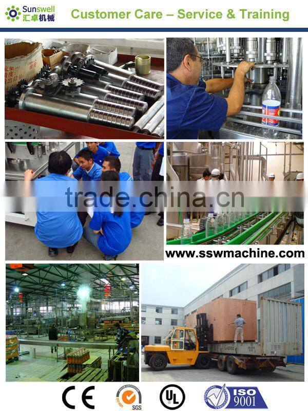 Mini Small Beverage Factory Plant