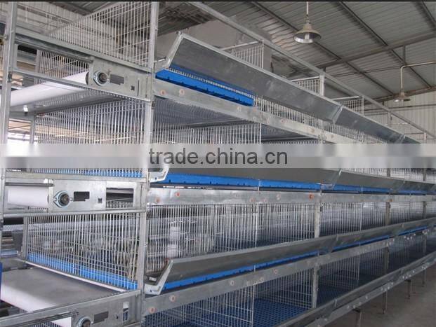 poultry farming commercial chicken coops