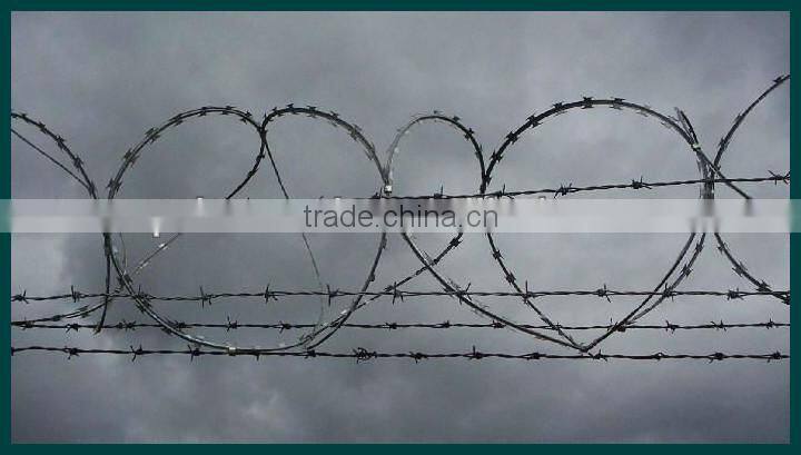 Razor barbed wire (golden factory)