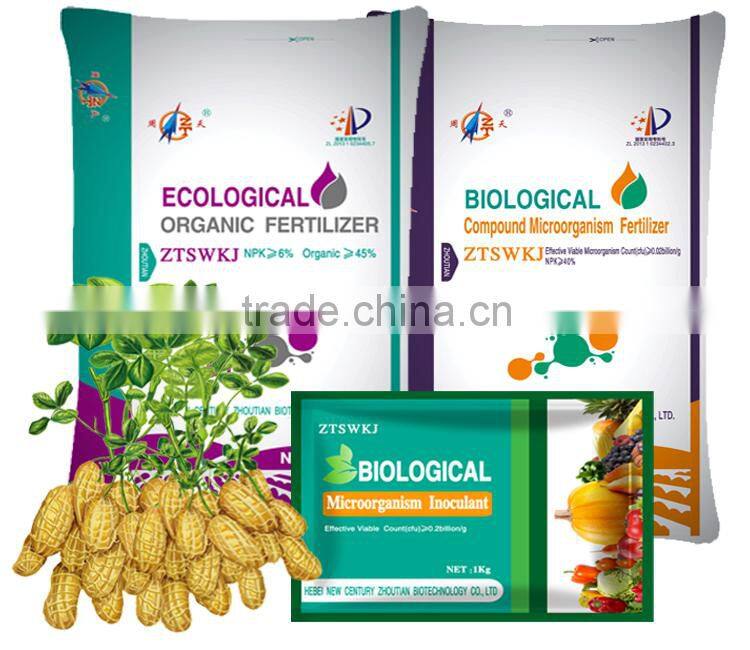 ZHOU TIAN high yield Peanut Seeds