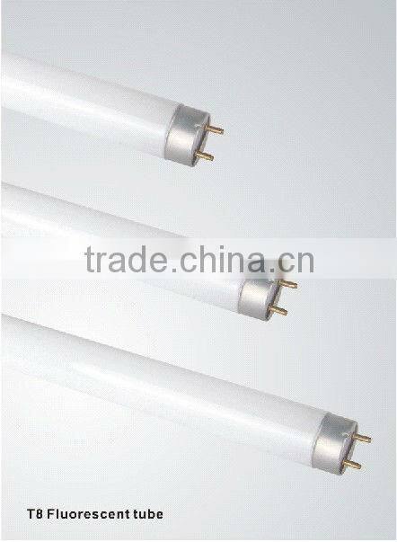6500K Cool white fluorescent lamp T8 36W