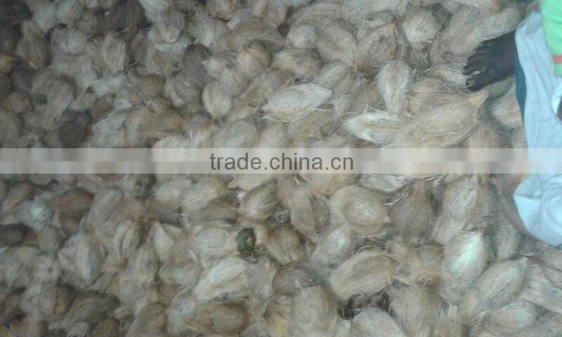 Tamil Nadu Organic Young Fresh Cocount