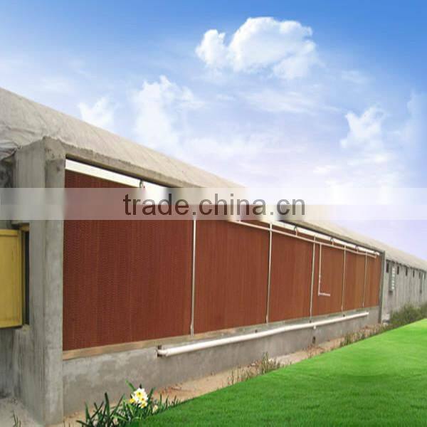 High quality automatic poultry farm usage chicken duck feeding system