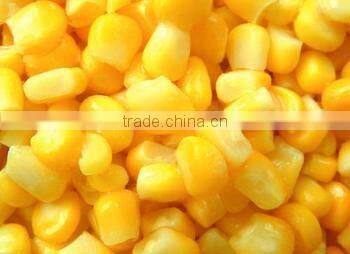 340G Canned Sweet Corn